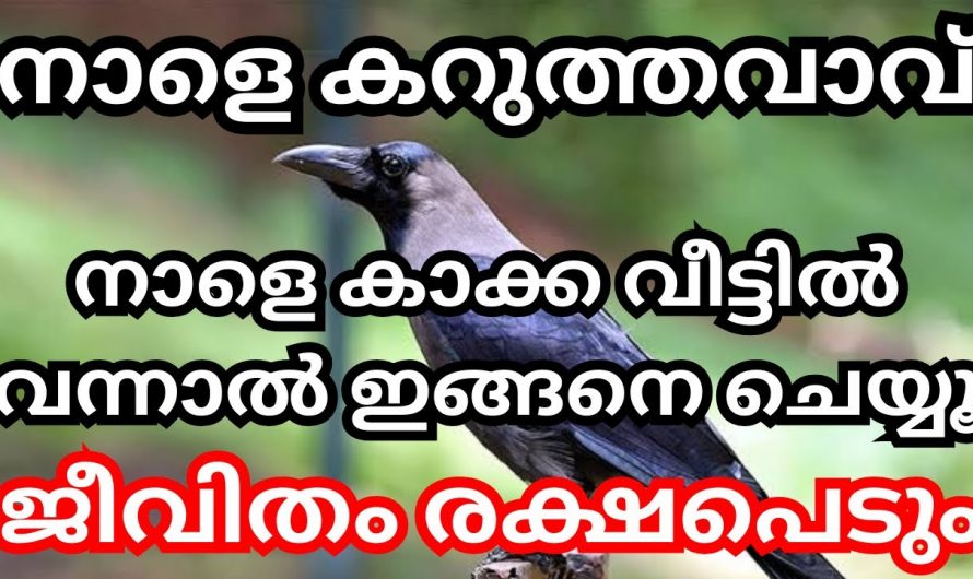 കറുത്ത വാവ് ദിവസം കാക്ക വീട്ടിൽ വന്നാൽ ചെയ്യേണ്ടത്.