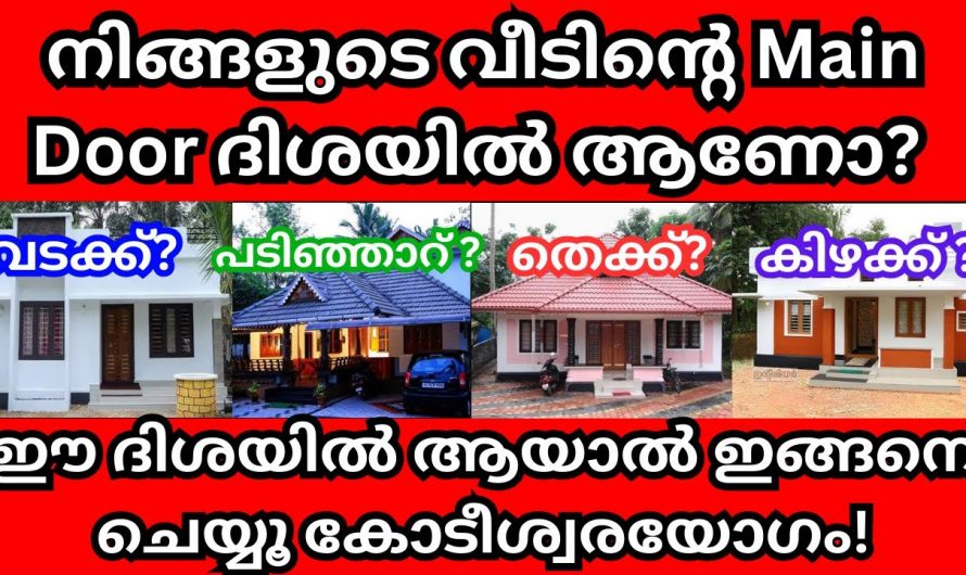 വീടിന്റെ വാസ്തു പ്രകാരം പ്രധാന വാതിൽ  ദിശയിലേക്ക് ആണെങ്കിൽ  വളരെയധികം നല്ലത്..