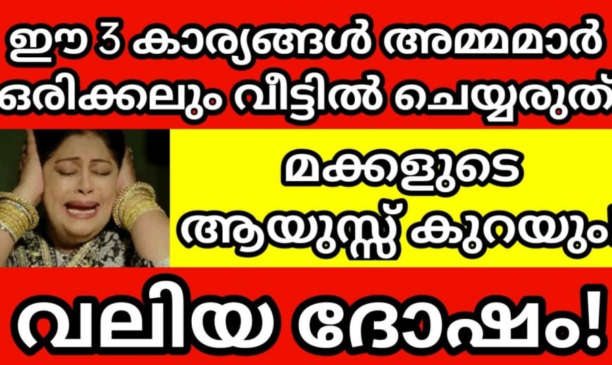 ഒരിക്കലും വീട്ടിലുള്ള അമ്മമാർ ഈ കാര്യങ്ങൾ ചെയ്യരുത്