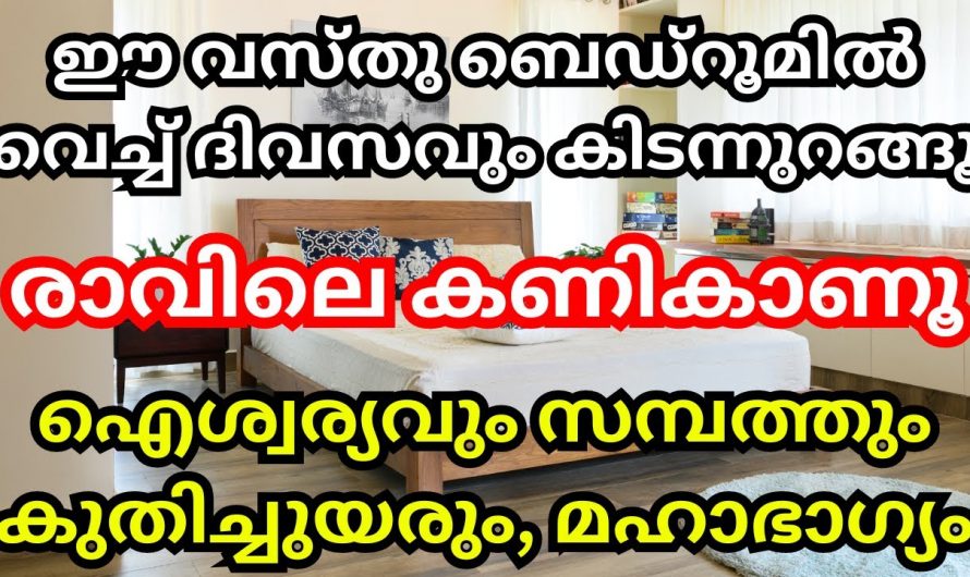 രാവിലെ എഴുന്നേറ്റ് ഉടൻ ഇത്തരം കാര്യങ്ങൾ ചെയ്താൽ ജീവിതത്തിൽ ഒട്ടും പരാജയങ്ങൾ ഉണ്ടാകില്ല…