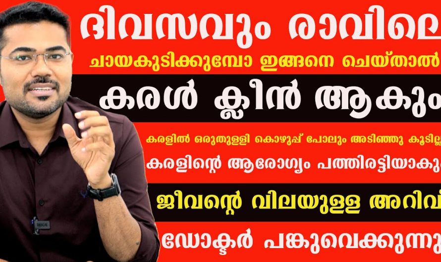 ലിവറും ഹാർട്ടും നല്ല രീതിയിൽ സംരക്ഷിക്കുന്നതിന് ഇത്തരം കാര്യങ്ങൾ ശ്രദ്ധിക്കുക…