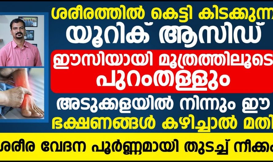 യൂറിക്കാസിഡ്  എങ്ങനെയാണ് നമ്മുടെ ആരോഗ്യത്തെ  ശരീരത്തെ ബാധിക്കുന്നത്..