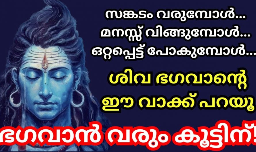 നമ്മൾ ഒറ്റപ്പെട്ടു എന്ന് തോന്നുമ്പോൾ ശിവ ഭഗവാനോട് ഇങ്ങനെ പ്രാർത്ഥിച്ചാൽ മതി..