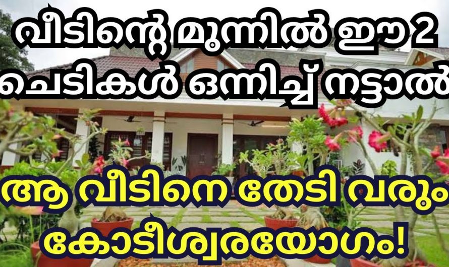 വീട്ടിൽ ഇത്തരം ചെടികൾ നട്ടു വളർത്തിയാൽ ഐശ്വര്യവും സമ്പത്തും വർദ്ധിക്കും.