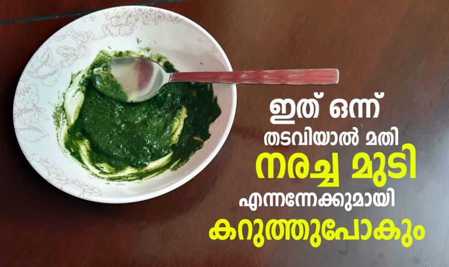 ആഴ്ചയിൽ ഒരു തവണ തടവിയാൽ മാത്രം മതി നരച്ച മുടി എന്നന്നേക്കുമായി കറുത്തു പോകും.