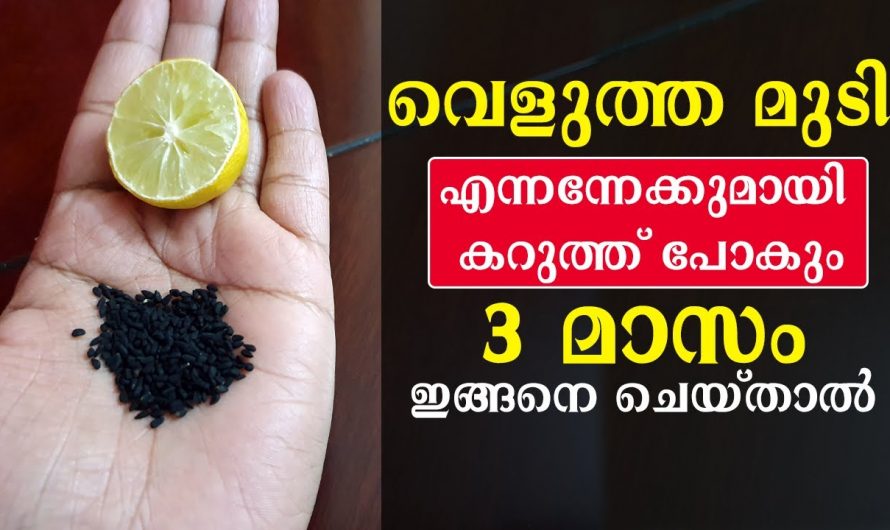 മുടിയിലും നര പരിഹരിച്ച് കറുകറുത്ത മുടി ലഭിക്കാൻ…