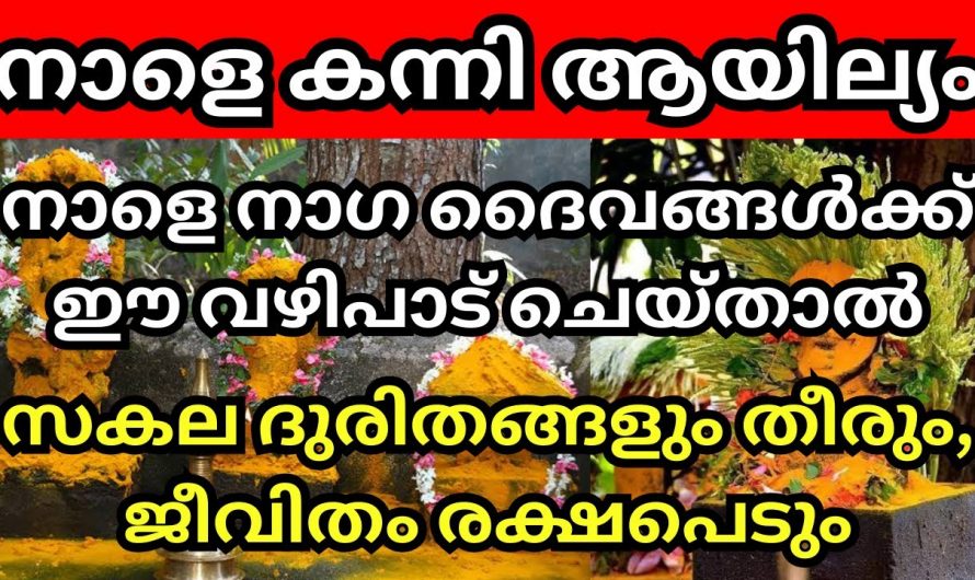 കന്നി മാസത്തിലെ  ആയില്യം ദിവസം ഈ വഴിപാട് ചെയ്താൽ ജീവിതം മെച്ചപ്പെടും ..