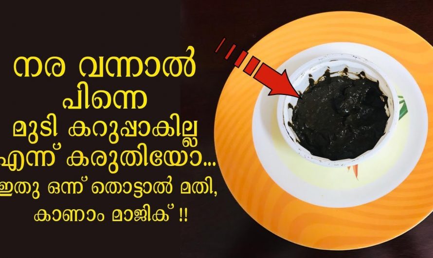 മുടിയിലെ നര പരിഹരിച്ച് മുടിയെ സംരക്ഷിക്കാൻ..