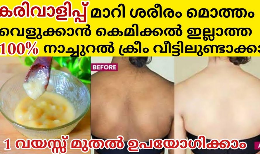 മുഖം തിളങ്ങാൻ ഇതാ കിടിലൻ പ്രകൃതിദത്ത ക്രീം….