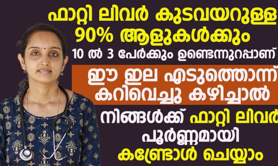 ഫാറ്റി ലിവർ  പരിഹരിച്ച് ആരോഗ്യത്തെ സംരക്ഷിക്കാൻ ..