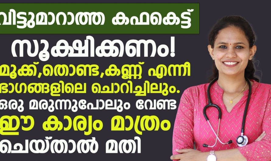 കഫക്കെട്ട് , തൊണ്ട  ചൊറിച്ചിൽ   എങ്ങനെ പരിഹരിക്കാം..