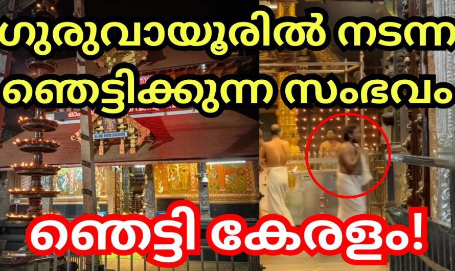 ഗുരുവായൂർ ക്ഷേത്രത്തിൽ നടന്ന ഞെട്ടിക്കും അനുഭവം…