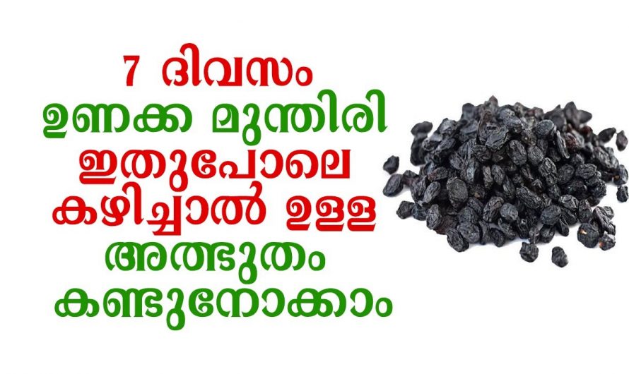 ദിവസം അൽപ്പം ഉണക്കമുന്തിരി കഴിച്ചാൽ   ഞെട്ടിക്കും ഗുണങ്ങൾ…