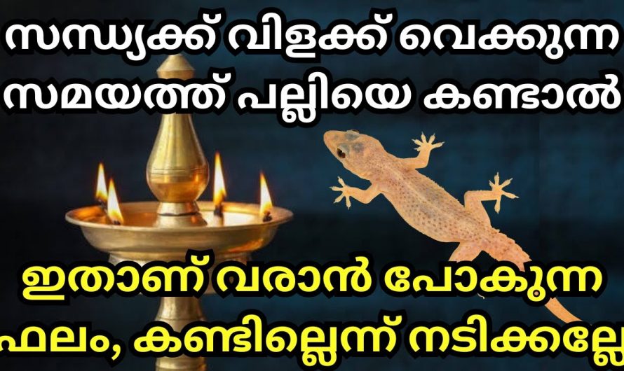 ഗൗളിശാസ്ത്രപ്രകാരം സന്ധ്യയ്ക്ക് വീട്ടിൽ വിളക്ക് വയ്ക്കുന്ന സമയത്ത് പല്ലിയാൽ കണ്ടാൽ?