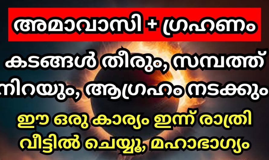 അമാവാസിയും  സൂര്യഗ്രഹണവും ഒരേ നാളിൽ വരുന്നതുകൊണ്ട് ജീവിതത്തില്‍ ലഭിക്കുന്ന സൗഭാഗ്യങ്ങൾ..