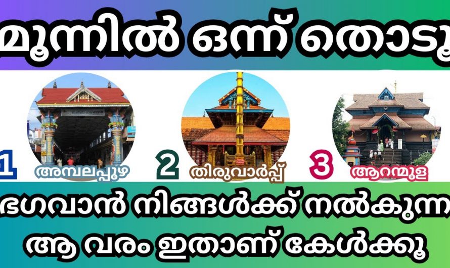 ഇതിൽ ഏതെങ്കിലും ചിത്രം തിരഞ്ഞെടുക്കൂ  ജീവിതത്തിലെ സൗഭാഗ്യങ്ങൾ തിരിച്ചറിയു…