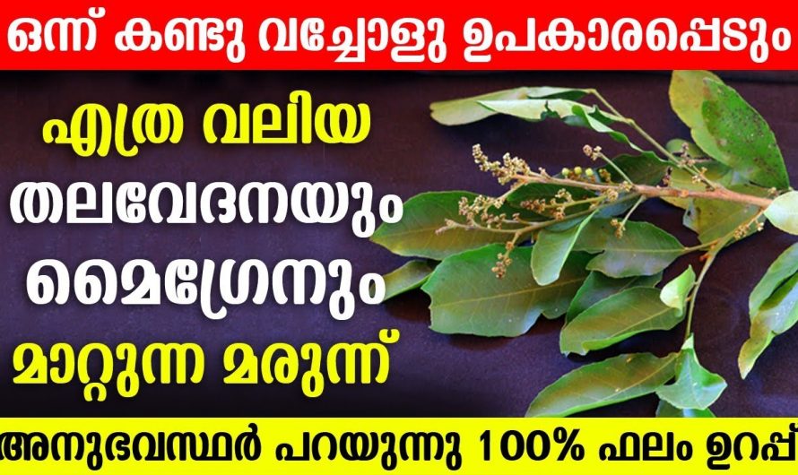 എത്ര കടുത്ത മൈഗ്രേൻ തലവേദനയും സാധാ തലവേദനയും എളുപ്പത്തിൽ പരിഹരിക്കാം..