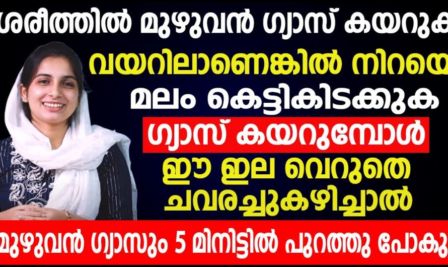 ദഹന പ്രശ്നങ്ങൾക്ക് ഒരു പരിധിവരെ പരിഹാരം കാണാൻ ഒരു കാര്യം ശ്രദ്ധിച്ചാൽ മതി…