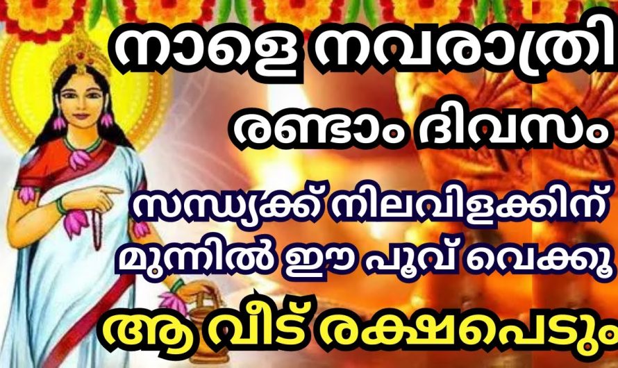 നവരാത്രിയുടെ രണ്ടാം ദിവസം എങ്ങനെയാണ് പ്രാർത്ഥിക്കേണ്ടത്…