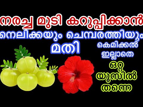 നല്ല കറുത്ത ആരോഗ്യമുള്ള മുടിയിഴകൾ ലഭിക്കുന്നതിന്..