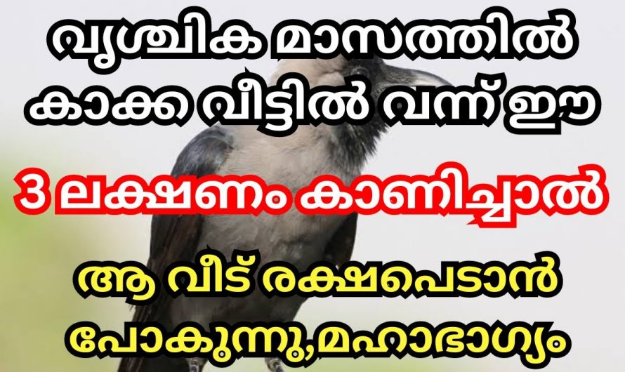 വൃശ്ചിക മാസത്തിൽ കാക്ക വീട്ടിൽ വന്നാൽ ലഭിക്കുന്ന ഗുണങ്ങൾ..