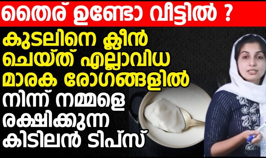 കുടലിന്റെ ആരോഗ്യം വർദ്ധിപ്പിക്കുന്നതിന് ആരോഗ്യ പ്രശ്നങ്ങളെ പരിഹരിക്കുന്നതിന്…