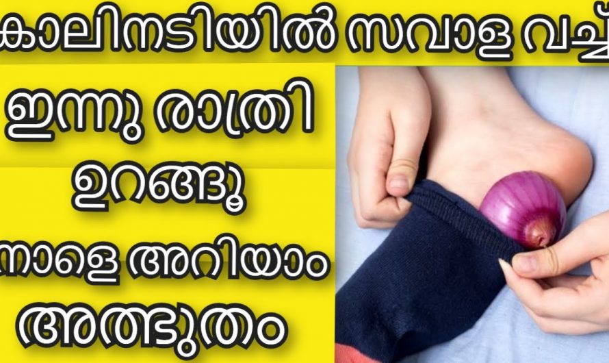 നിങ്ങൾ ഉറങ്ങുന്നതിന് മുമ്പ് കാലിനടിയിൽ സവാള വച്ചാലുള്ള ഗുണങ്ങളെ കുറിച്ച് അറിയാമോ