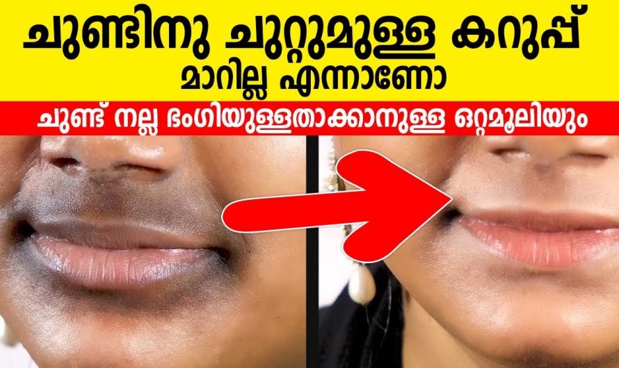 ചുണ്ടുകൾക്ക് ചുറ്റുമുള്ള കറുപ്പ് നിറം ഒരു പ്രശ്നമാണോ?.എങ്കിൽ ഈ മാർഗം ഉപയോഗിച്ചാൽ ചുണ്ടുകൾ സുന്ദരമാക്കാം