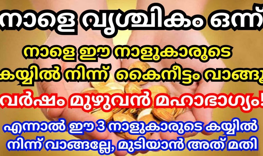 വൃശ്ചികം ഒന്നു മുതൽ നക്ഷത്രക്കാർക്ക് വളരെ സൗഭാഗ്യരുടെ സമയം..