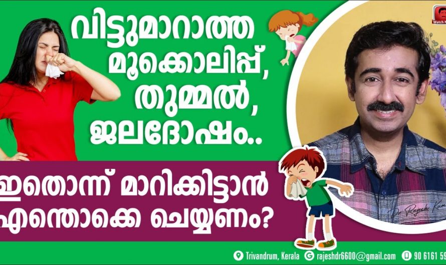 ജലദോഷം തുമ്മൽ മൂക്കൊലിപ്പ്  തുടങ്ങിയ അലർജി പ്രശ്നങ്ങൾ തടയുന്നതിന്…