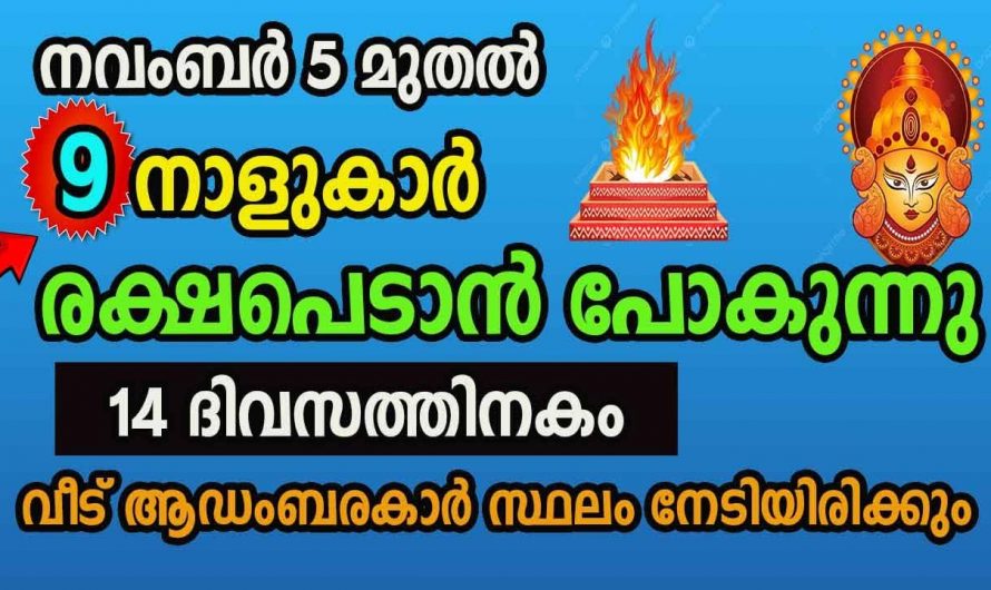 ഈ നക്ഷത്രക്കാർക്ക് നവംബർ 5 മുതൽ സൗഭാഗ്യങ്ങളുടെ കാലഘട്ടം..