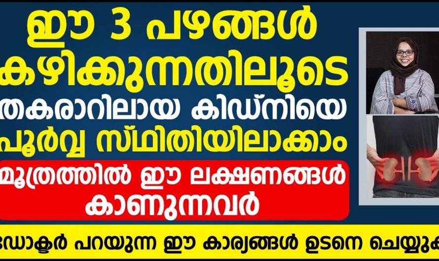 കിഡ്നിയുടെ ആരോഗ്യം  നിർത്താൻ ശ്രദ്ധിക്കേണ്ട കാര്യങ്ങൾ..