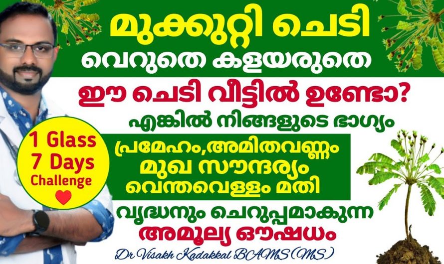 മുക്കുറ്റിയുടെ ഔഷധഗുണങ്ങൾ.