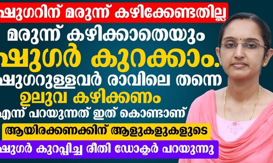 പ്രമേഹം കൊളസ്ട്രോളിൽ  പരിഹരിക്കാൻ