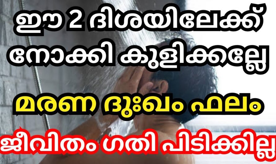 കുളിക്കുമ്പോൾ ഈ കാര്യം പ്രത്യേകം ശ്രദ്ധിക്കണം ഈ രണ്ടു ദിശയിലേക്ക് നോക്കി  കുളിച്ചാൽ  ആയുസ്സ് കുറയും..😱