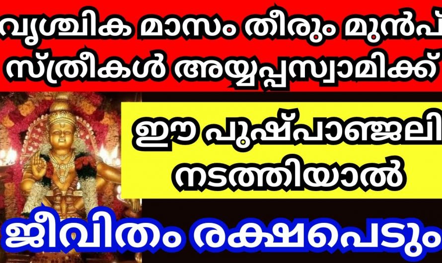 വൃശ്ചിക മാസത്തിൽ ഈ വഴിപാട് ചെയ്താൽ ഇരട്ടി ഫലം…