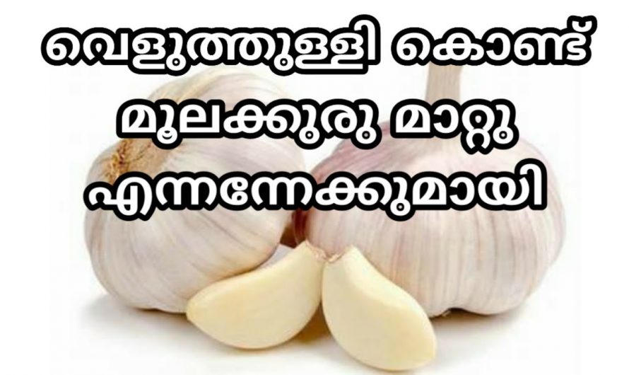 എത്ര പഴകിയ പൈൽസും നമുക്ക് എളുപ്പത്തിൽ പരിഹരിക്കാം..