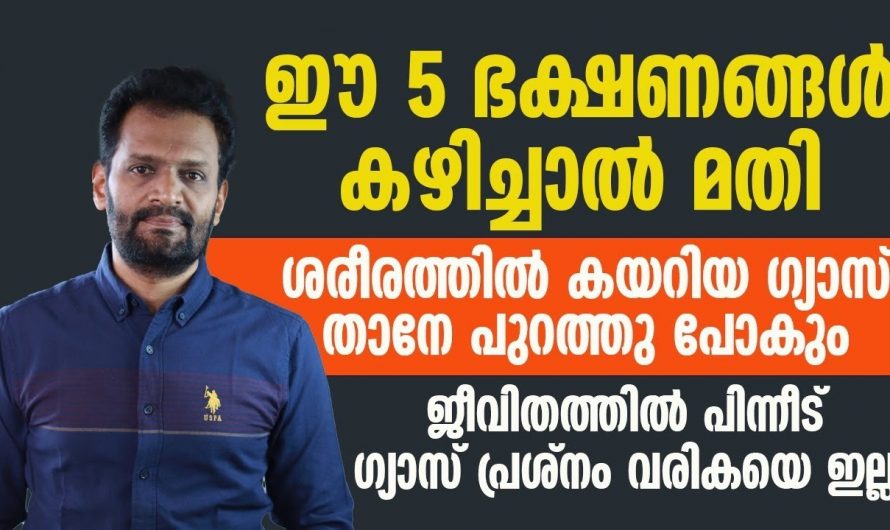 പുളിച്ച് തികട്ടൽ, അസിഡിറ്റി, ദഹനസംബന്ധമായ പ്രശ്നങ്ങൾക്ക് നല്ല പരിഹാരം..