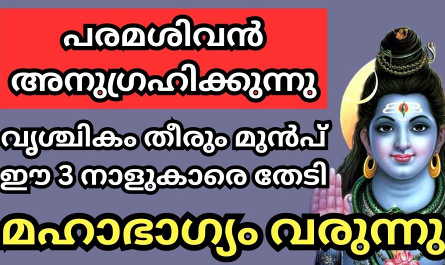 വൃശ്ചിക മാസം പകുതി മുതൽ ഈ മൂന്ന് നാളുകാർക്ക് സൗഭാഗ്യങ്ങൾ വരും.