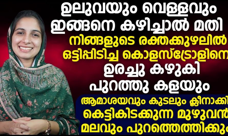 രക്തക്കുഴലിൽ ഒട്ടിപ്പിടിച്ചിരിക്കുന്ന കൊളസ്ട്രോളിന് ഒഴിവാക്കുവാൻ ഇതാ ഒരു മാർഗ്ഗം