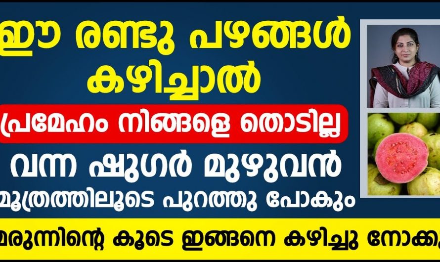 നിങ്ങൾ പ്രമേഹം ഉള്ളവരാണോ എങ്കിൽ ഈ രണ്ടു പഴങ്ങൾ കഴിച്ചാൽ പ്രമേഹം നിങ്ങളെ തൊടില്ല