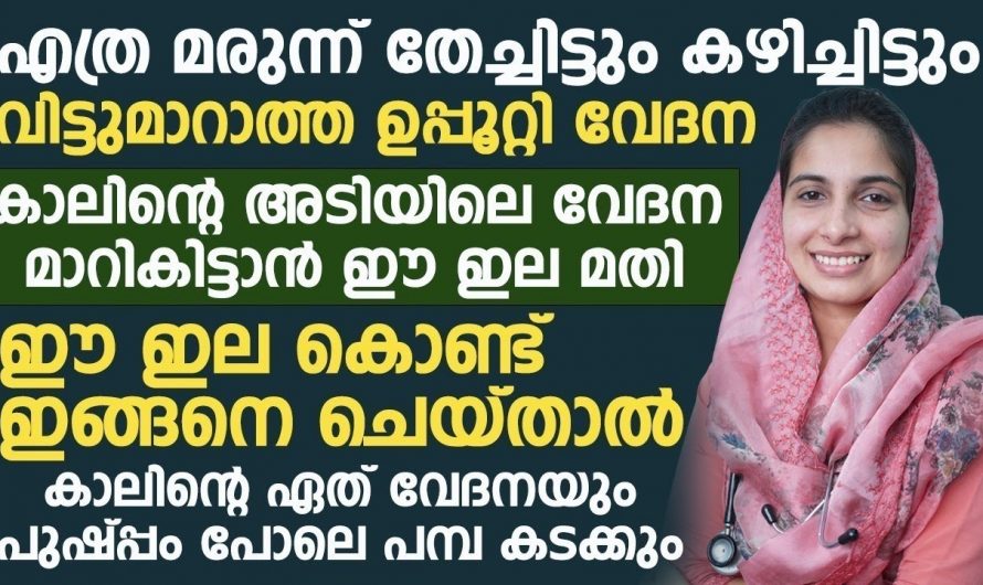 യൂറിക്കാസിഡ് പരിഹരിച്ച് ആരോഗ്യം സംരക്ഷിക്കാൻ…