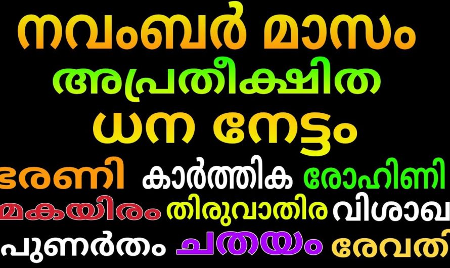 നവംബർ മാസം നക്ഷത്രക്കാർക്ക് വളരെ നല്ല സമയം..