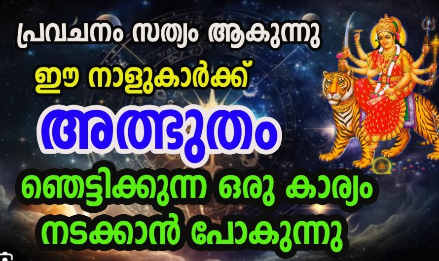 ഈ നാളുകൾക്ക് ഞെട്ടിക്കും സൗഭാഗ്യങ്ങൾ…