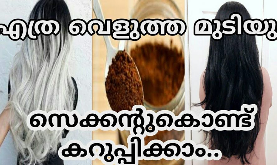 മുടിയിലെ നര പരിഹരിച്ച് യൗവനം നിലനിർത്താൻ .