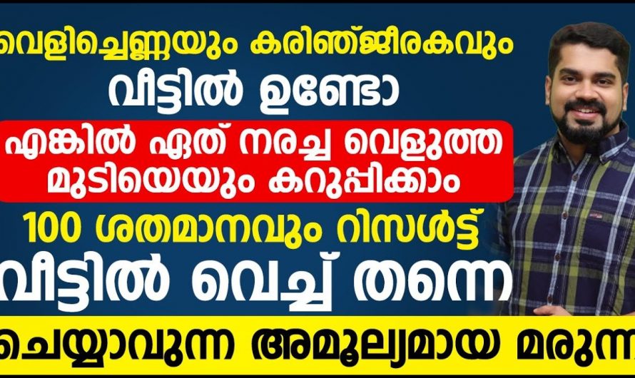 അകാലനര പ്രതിരോധിച്ച് മുടിയെ സംരക്ഷിക്കാൻ …