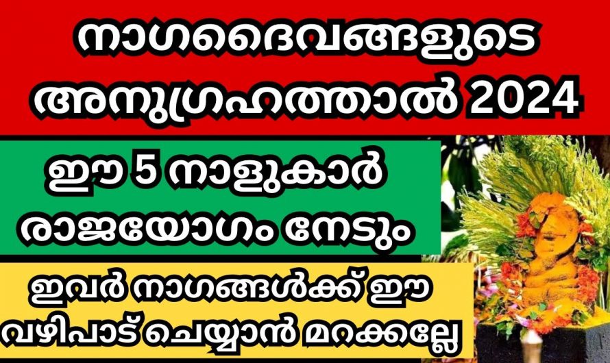 2024 ൽ ഈ നക്ഷത്രക്കാർക്ക് നാഗ ദൈവങ്ങളുടെ അനുഗ്രഹത്തിന്റെ ദിവസങ്ങൾ… 👌