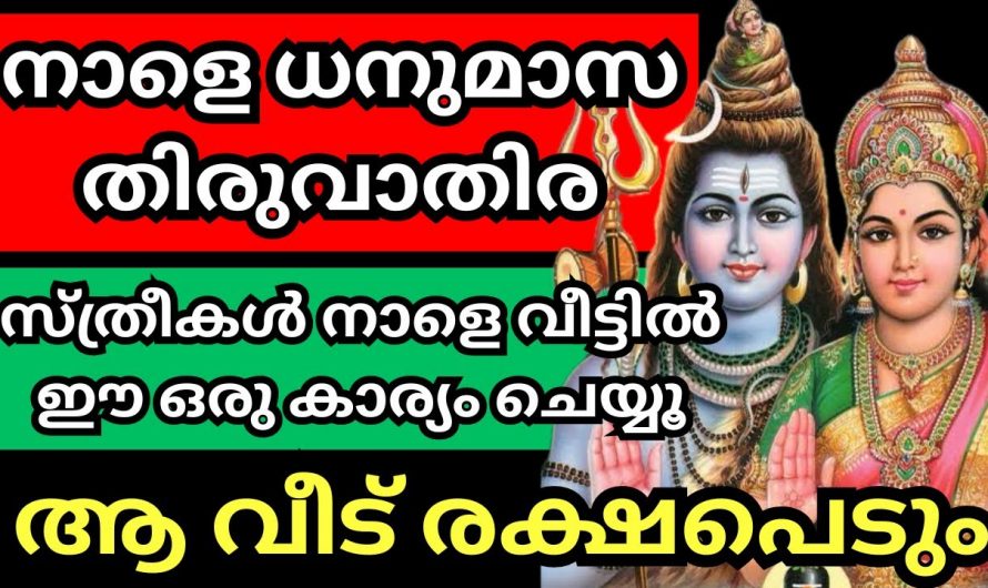 തിരുവാതിര ദിവസം വ്രതം എടുത്ത് പ്രവർത്തിച്ചാൽ ലഭിക്കുന്ന അനുഗ്രഹങ്ങൾ…👌