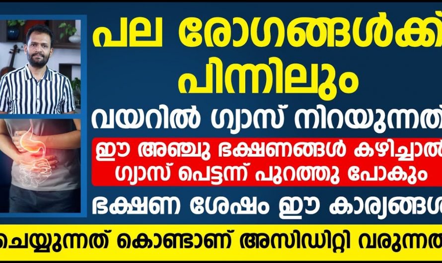 ഗ്യാസ്ട്രബിൾ ദഹനപ്രശ്നങ്ങളും എളുപ്പത്തിൽ പരിഹരിക്കാൻ..👌