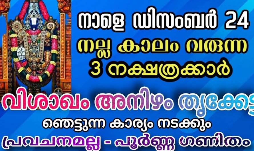 2024 തൊട്ടതെല്ലാം പൊന്നാക്കുന്ന നക്ഷത്രക്കാർ..🥰